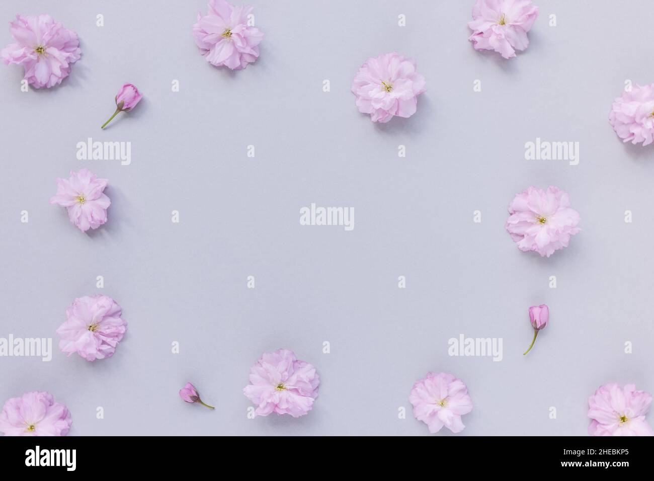 Pink Flower Aesthetic Background High Resolution Stock Photography And Images Alamy