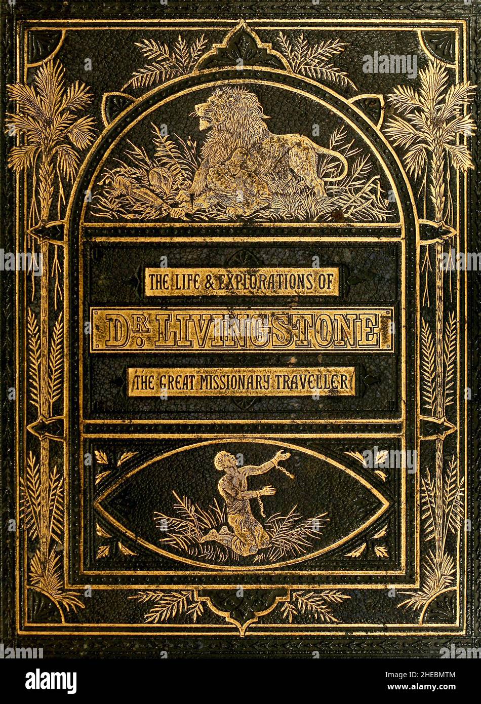 book cover and binding of The life and explorations of David