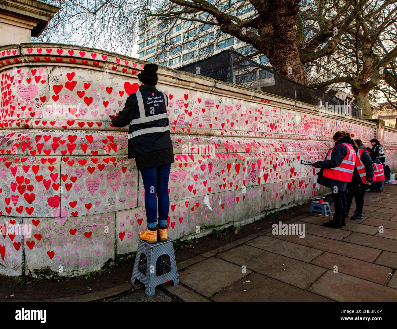 The National Covid Memorial Wall, begun March 2021, on a wall on the South Bank of the Thames, opposite the Palace of Westminster, London Stock Photo