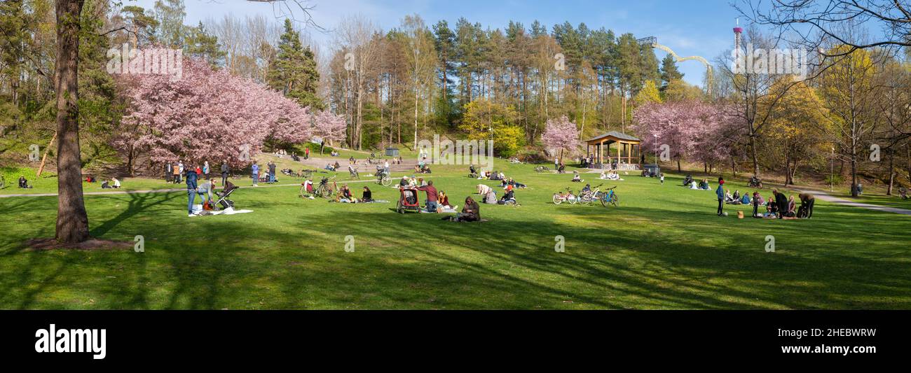 People enjoying springtime at Alppipuisto Park, Helsinki, Finland Stock Photo