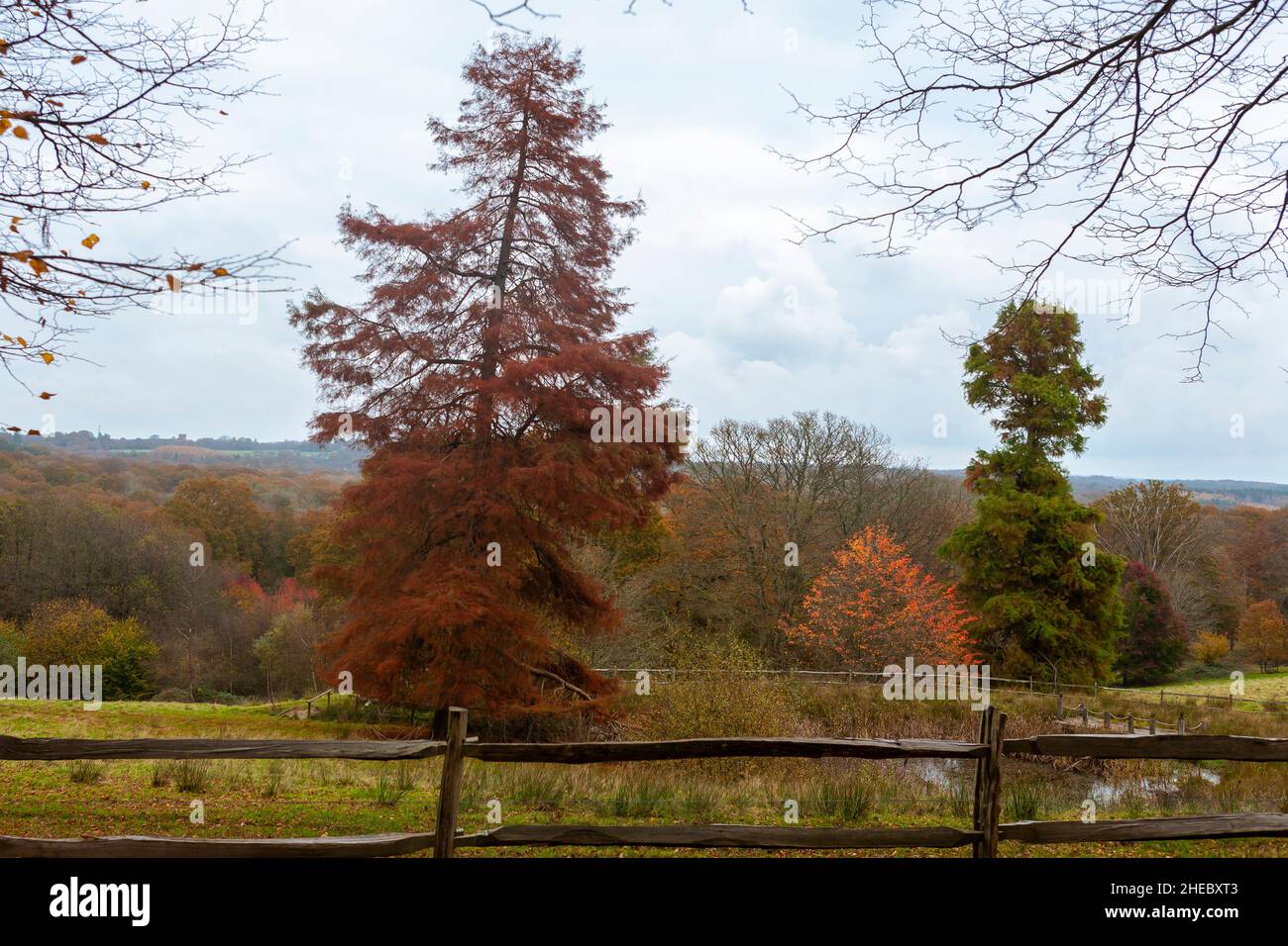 Autumn colour in the High Weald from the garden at Nymans, Handcross, West Sussex, UK Stock Photo