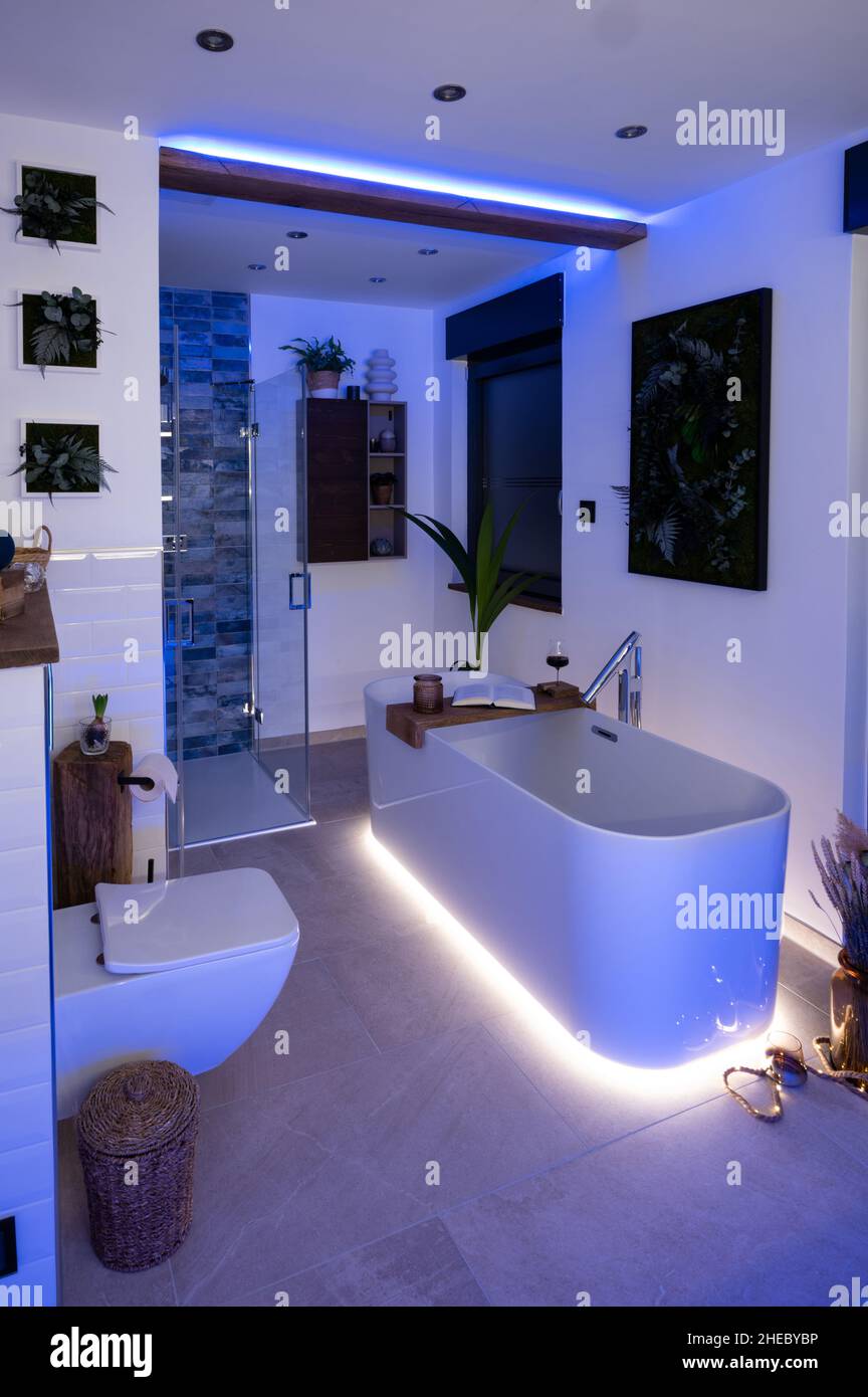 Modern bathroom with freestanding bathtub, modern taps and LED ambient lighting Stock Photo