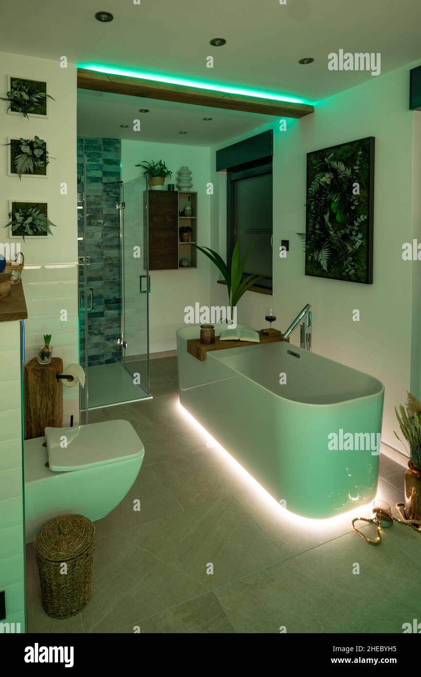 Bathroom LED Lighting Schemes