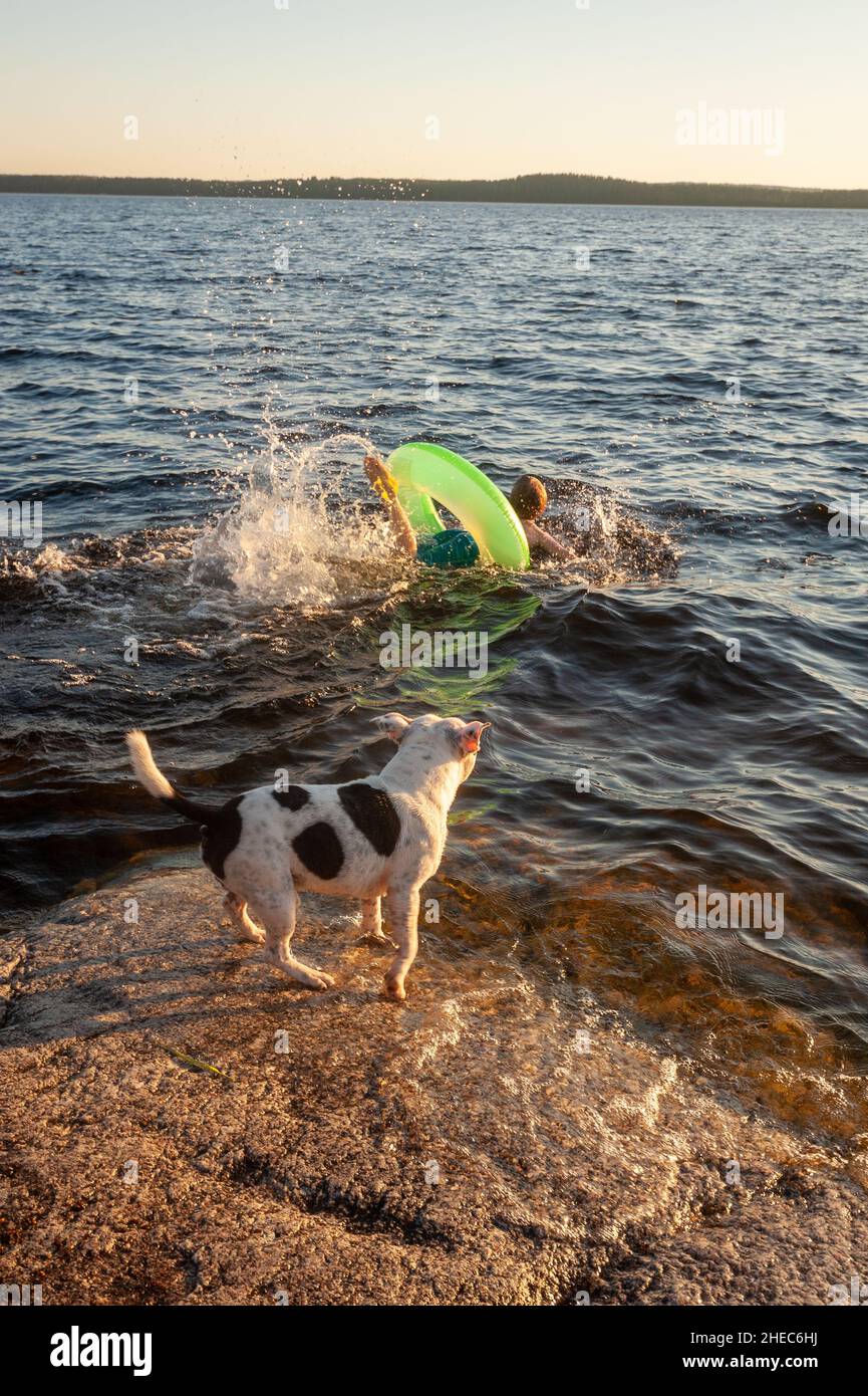 Dog keeping an eye on child in the water, lake Päijänne, Asikkala, Finland Stock Photo