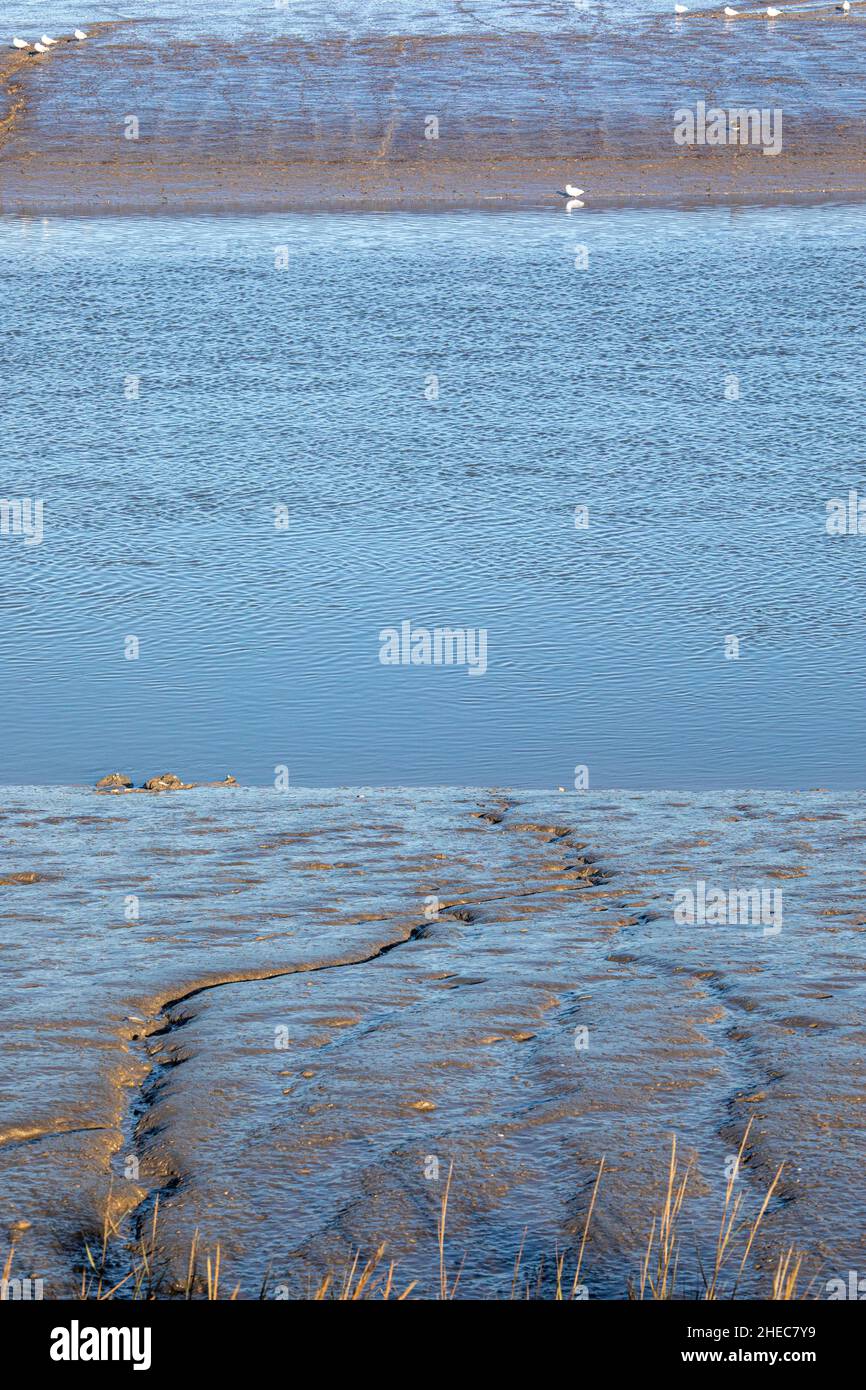 Maldon in Essex Estuary Stock Photo