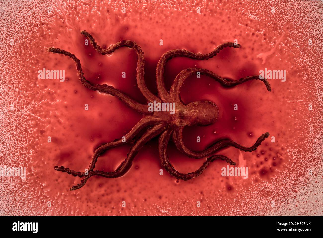 Octopus on splash blood background Stock Photo