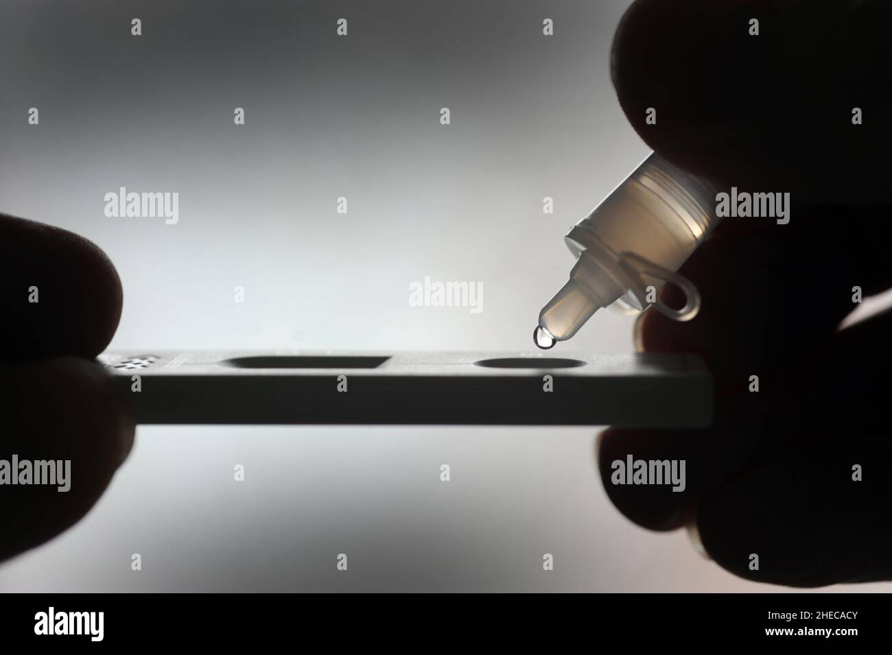 COVID 19 LATERAL FLOW TEST RE TESTING PANDEMIC CORONAVIRUS OMICRON INFECTIONS ETC UK Stock Photo