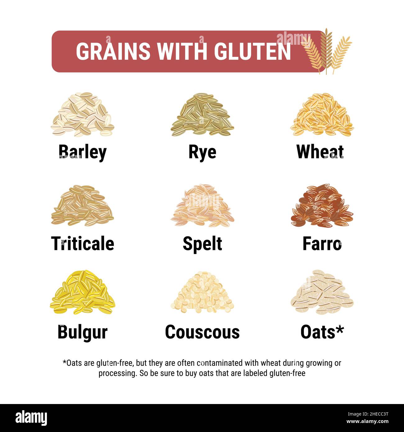 Gluten free And Containing Gluten Grains Infographic Healthy And gluten-free-and-containing-gluten-grains-infographic-healthy-and