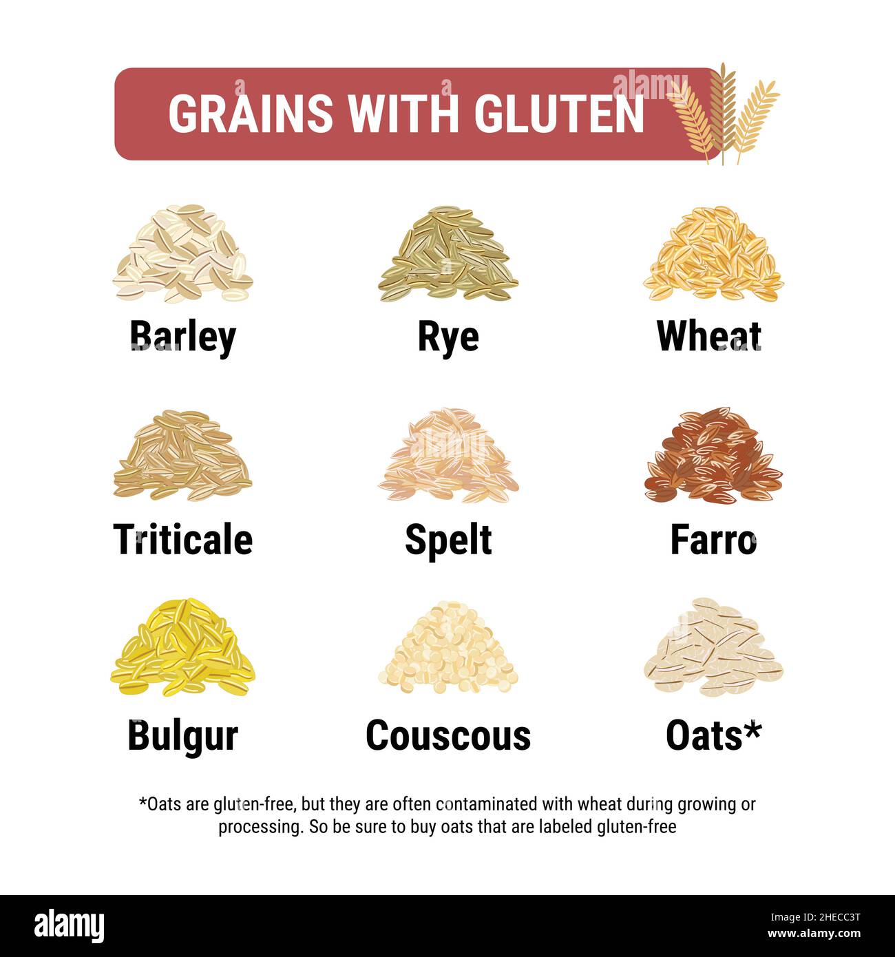 Gluten free And Containing Gluten Grains Infographic Healthy And 