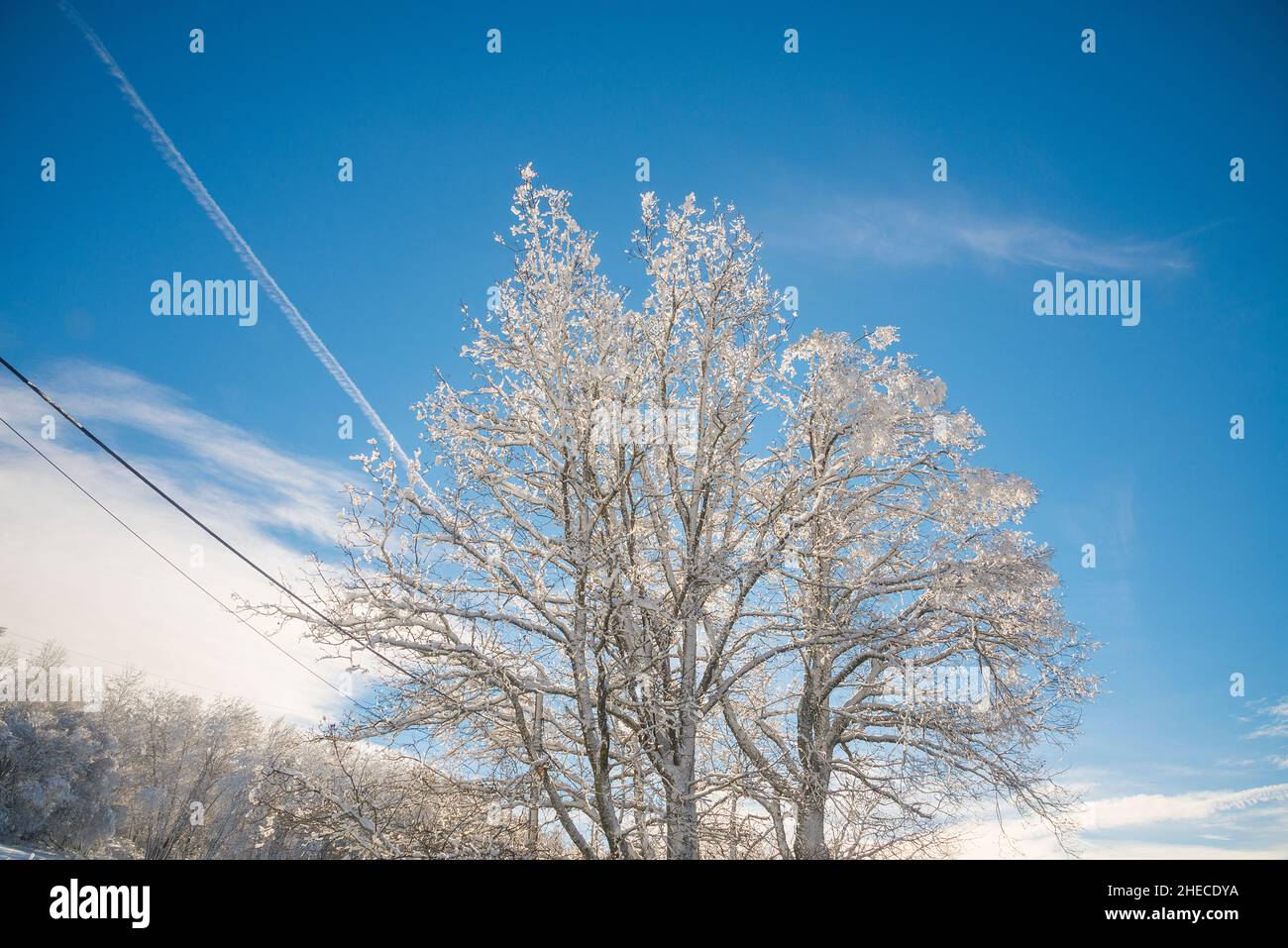 Winter landscape. Somosierra, Madrid province, Spain. Stock Photo