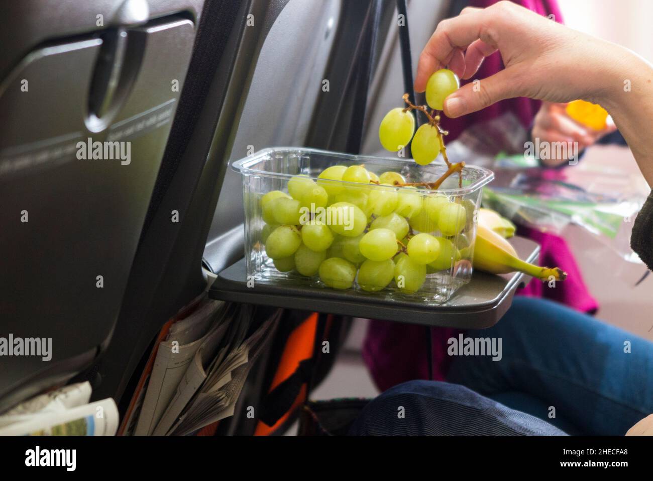 Can I Take Fruit Snacks On A Plane at Matthew Nickerson blog