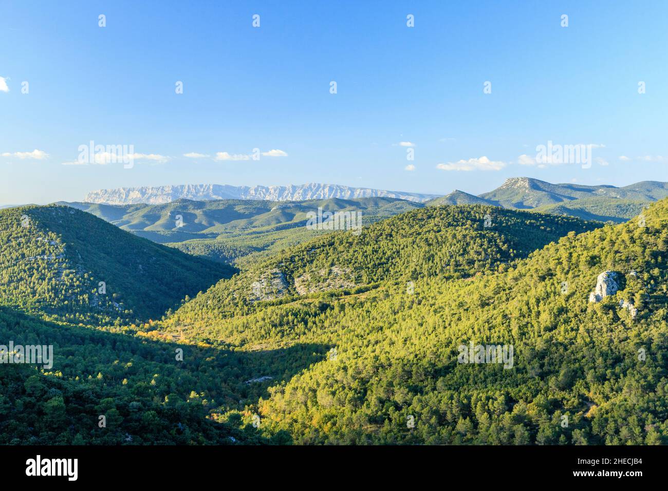 France, Var, Sainte Baume Regional Natural Park, the Massif de la