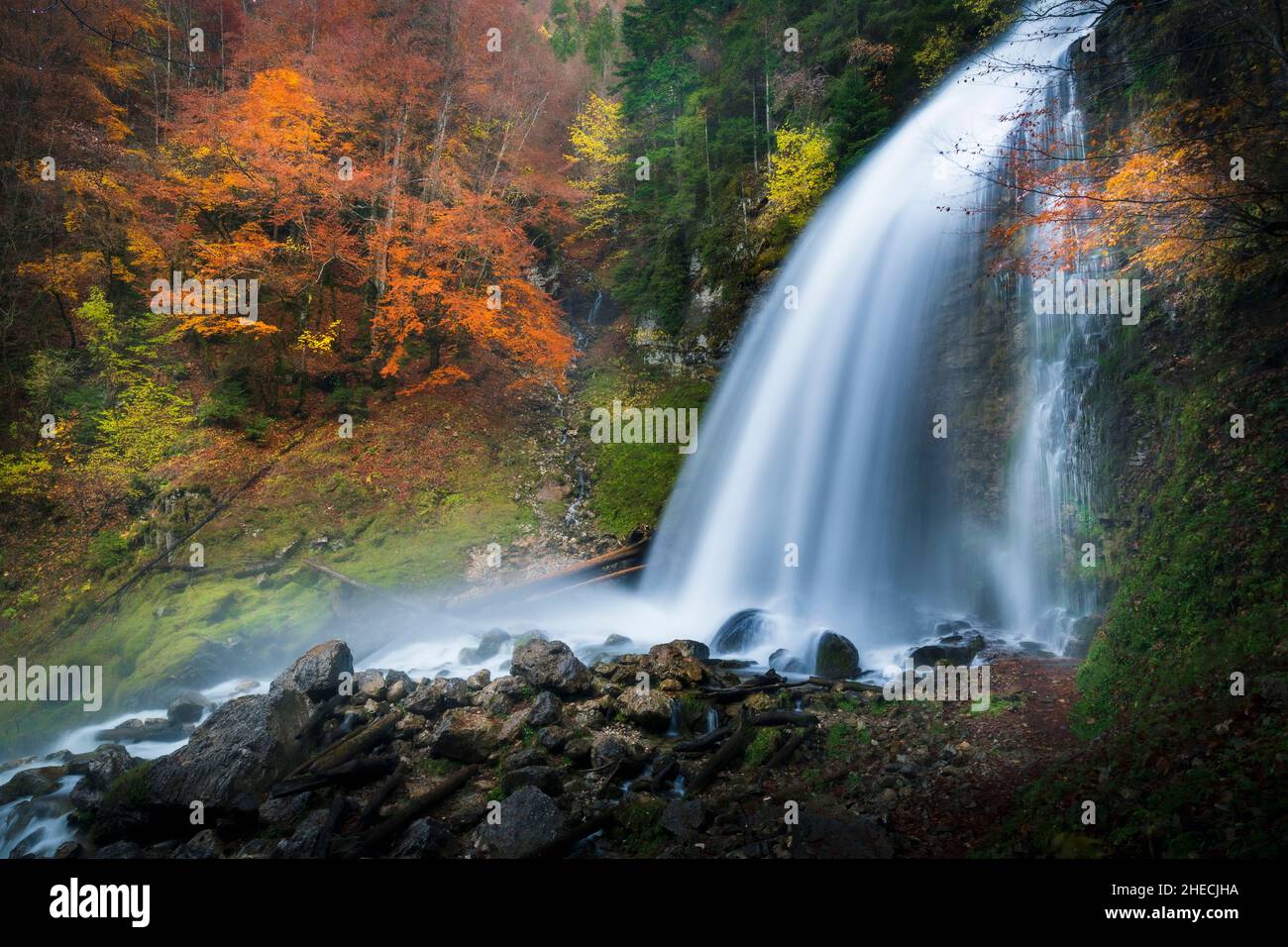 Le Cirque High Resolution Stock Photography And Images Alamy