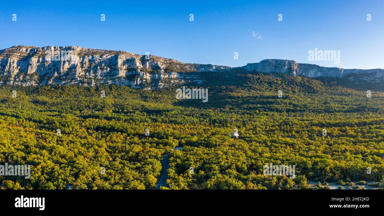 France, Var, Sainte Baume Regional Natural Park, Massif de la Sainte Baume, Sainte Baume State Forest, relic forest of beeches and oaks, north slide o Stock Photo
