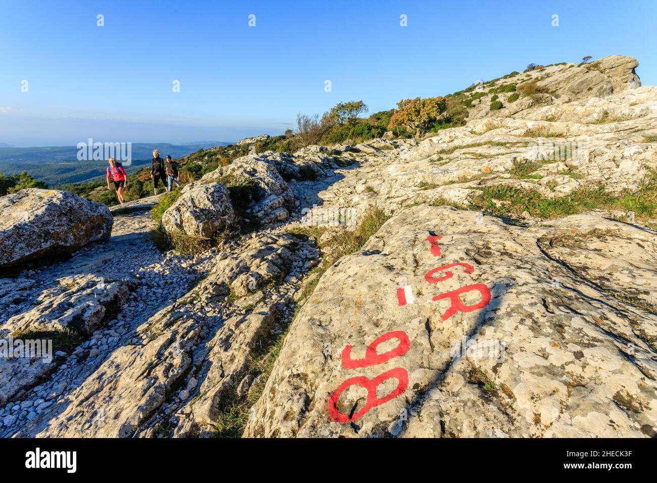 France, Var, Sainte Baume Regional Natural Park, Massif de la Sainte Baume, hikers on the GR 98 trail at Saint Pilon pass // France, Var (83), Parc na Stock Photo