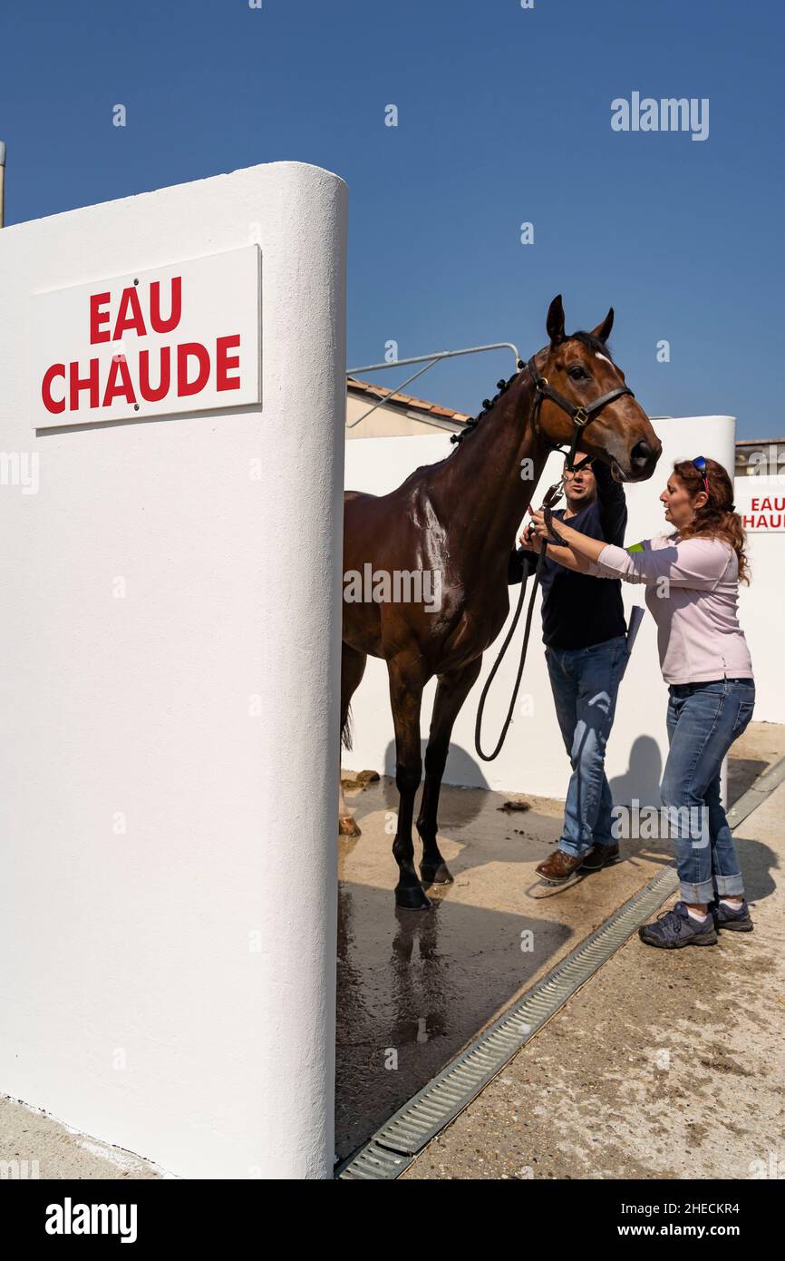 France, Gironde, Bassin d'Arcachon, La Teste-de-Buch, la Teste-de-Buch hippodrome, horse race Stock Photo
