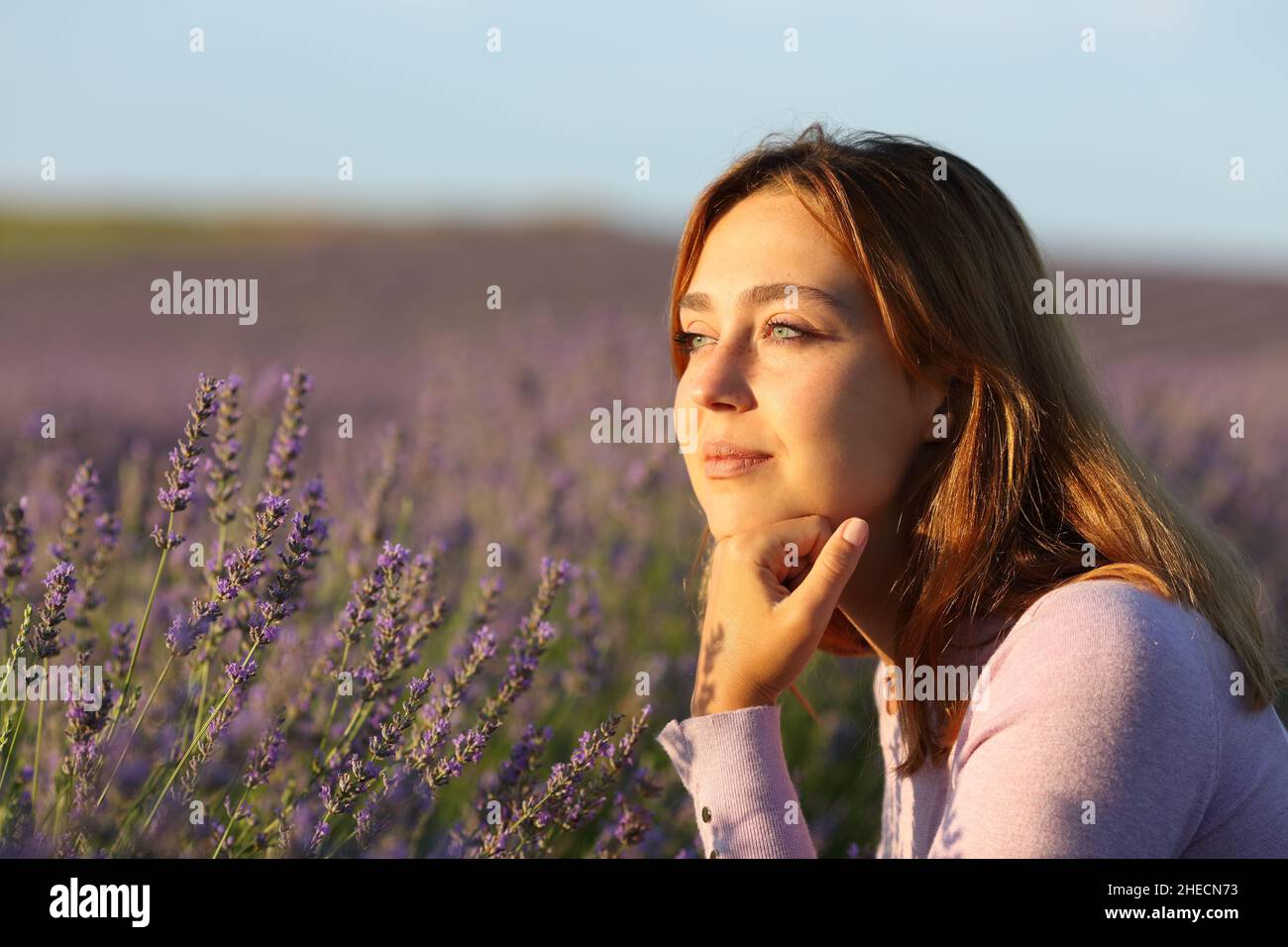 Girl sitting in lavender field hires stock photography and images Alamy
