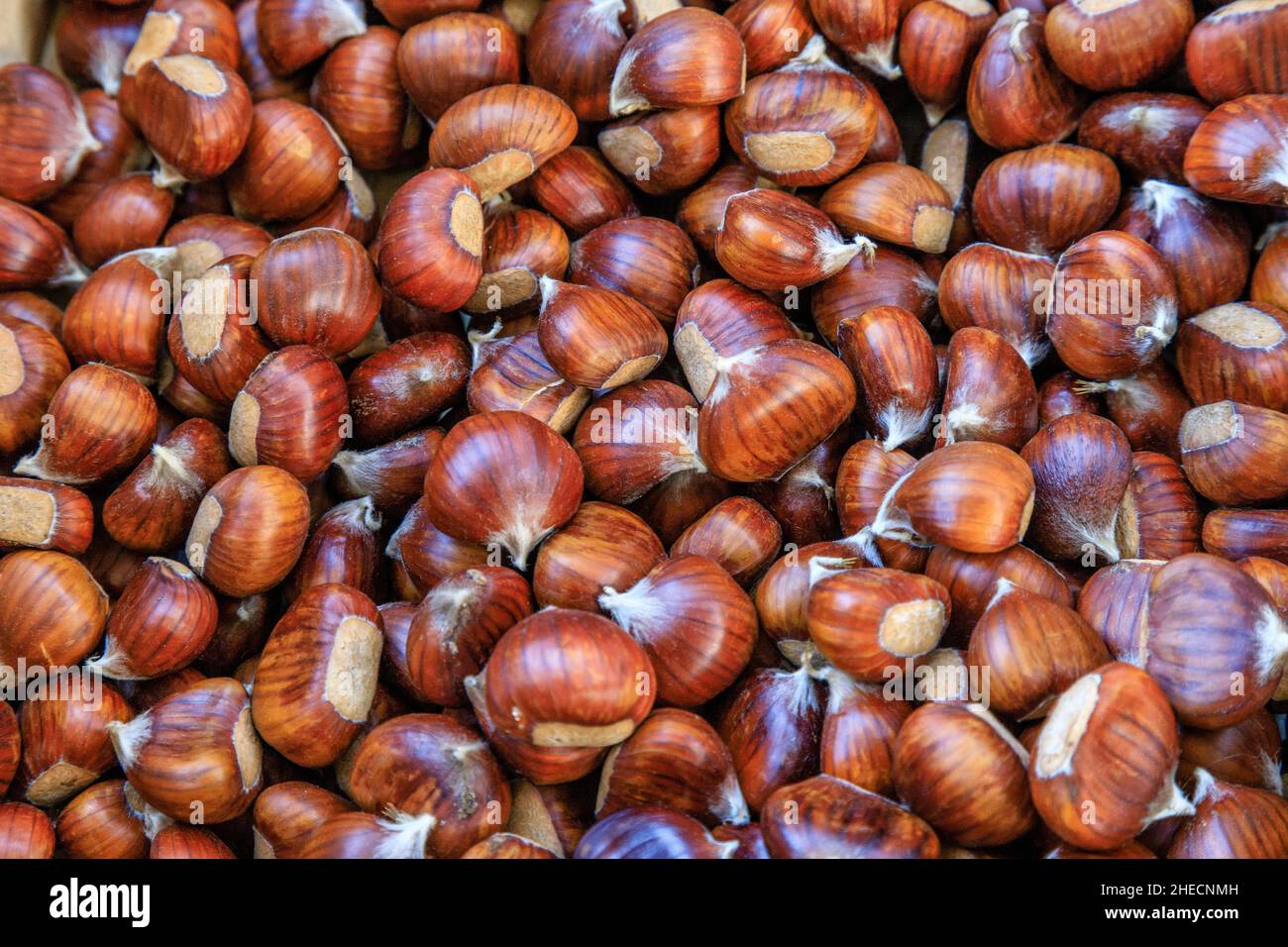 France, Var, Massif des Maures, Collobrieres, chestnut crate during the  Fetes de la Chataigne (Chestnut Festival) on the last three Sundays in Octobe Stock Photo