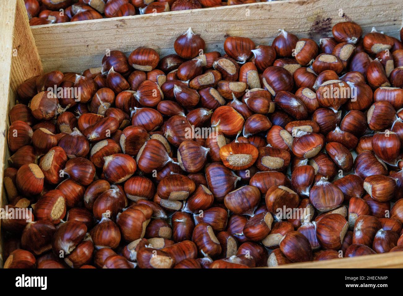 France, Var, Massif des Maures, Collobrieres, chestnut crate during the  Fetes de la Chataigne (Chestnut Festival) on the last three Sundays in Octobe Stock Photo