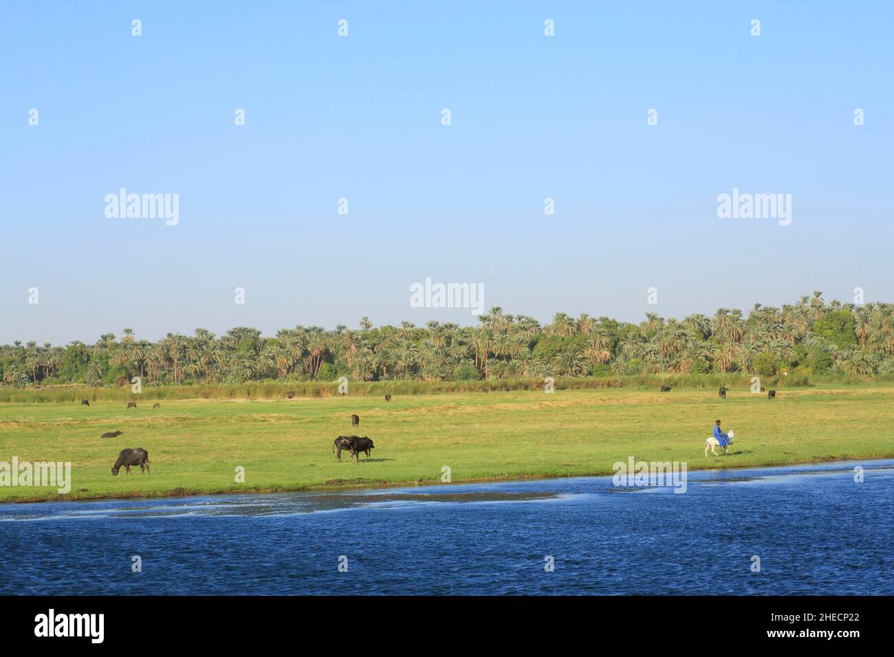 Egypt, Upper Egypt, Nile valley, surroundings of Kom Ombo, Daraw, view