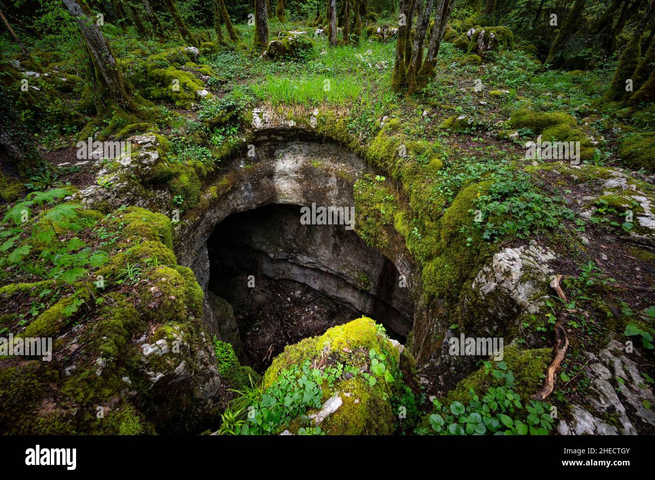 France, Jura, Molain, karstic path of Malrochers, the pedagogical chasm