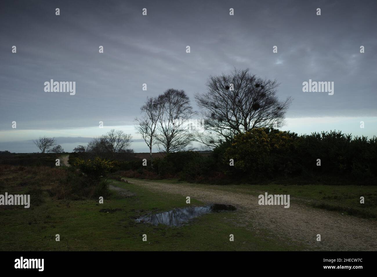 Burley new forest national park hi-res stock photography and images - Alamy