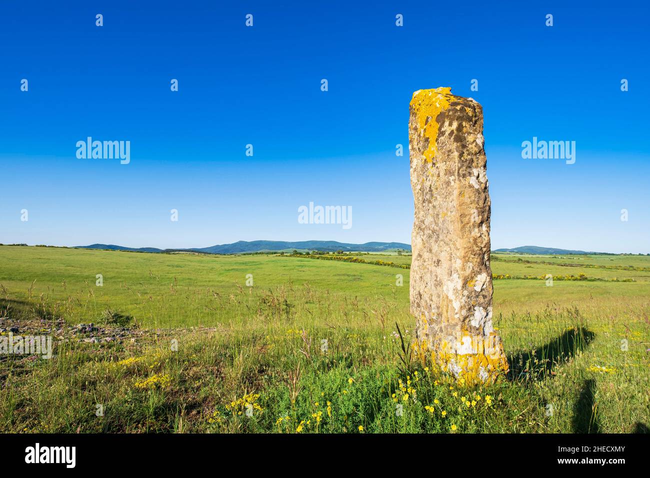 France, Lozere, Corniche des Cevennes, former Royal road from Nimes to Saint-Flour, Le Pompidou, standing stone on the Hospitalet plateau Stock Photo