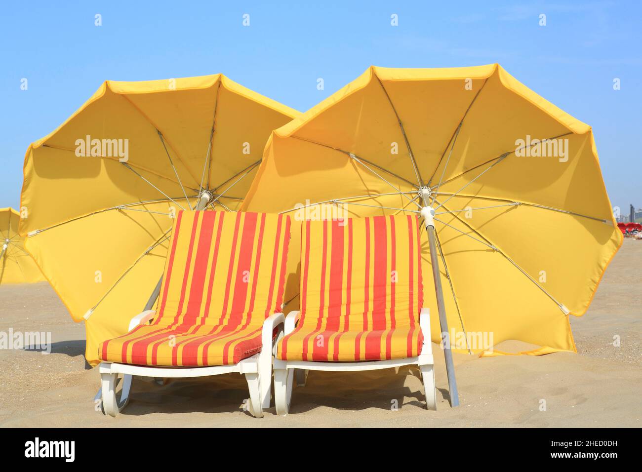Belgium, West Flanders, De Panne, deckchairs and parasol for rent on the  beach Stock Photo - Alamy