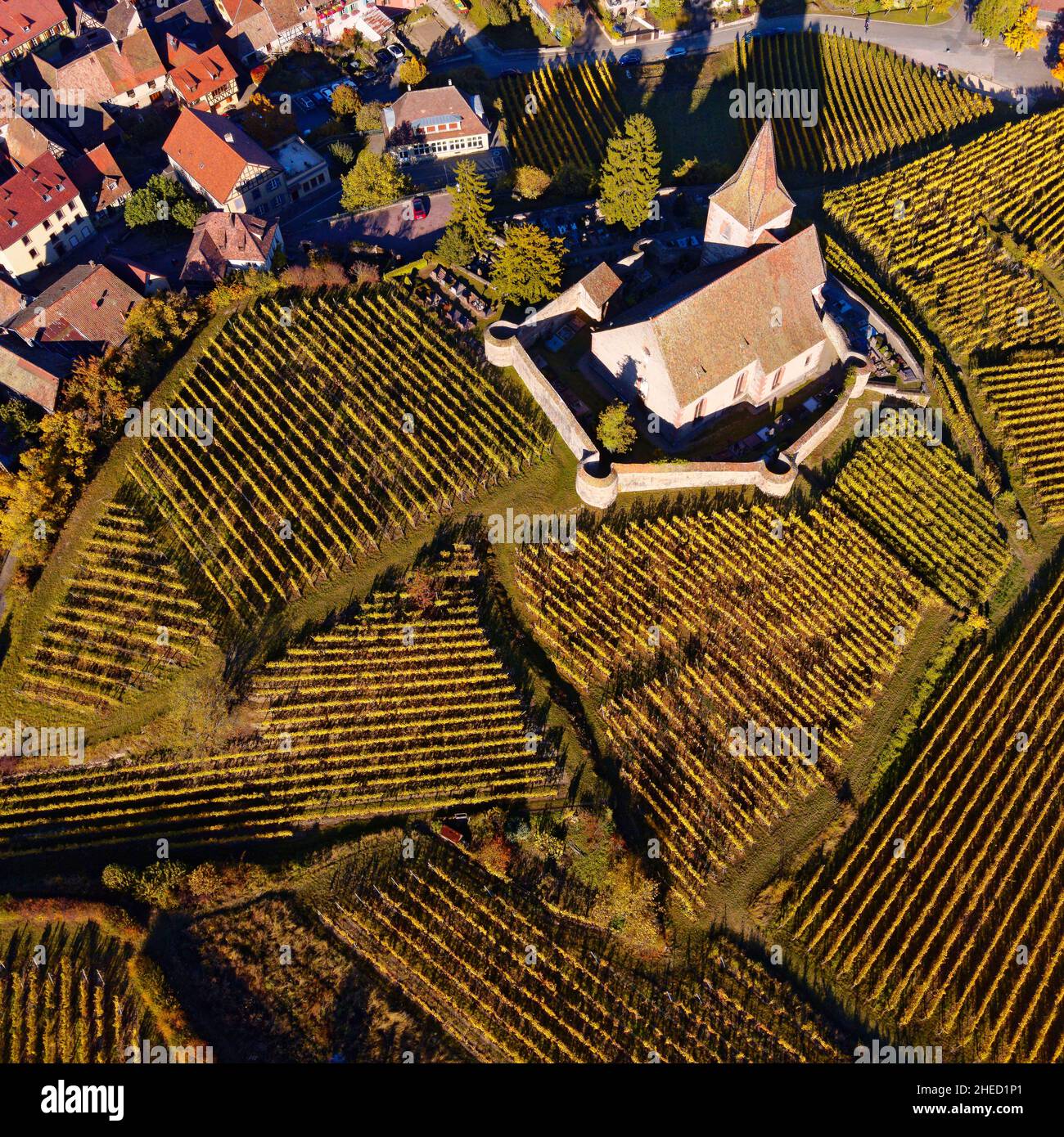 Haut Rin France, Haut Rhin, the Alsace Wine Route, Hunawihr, labelled Les Plus ...