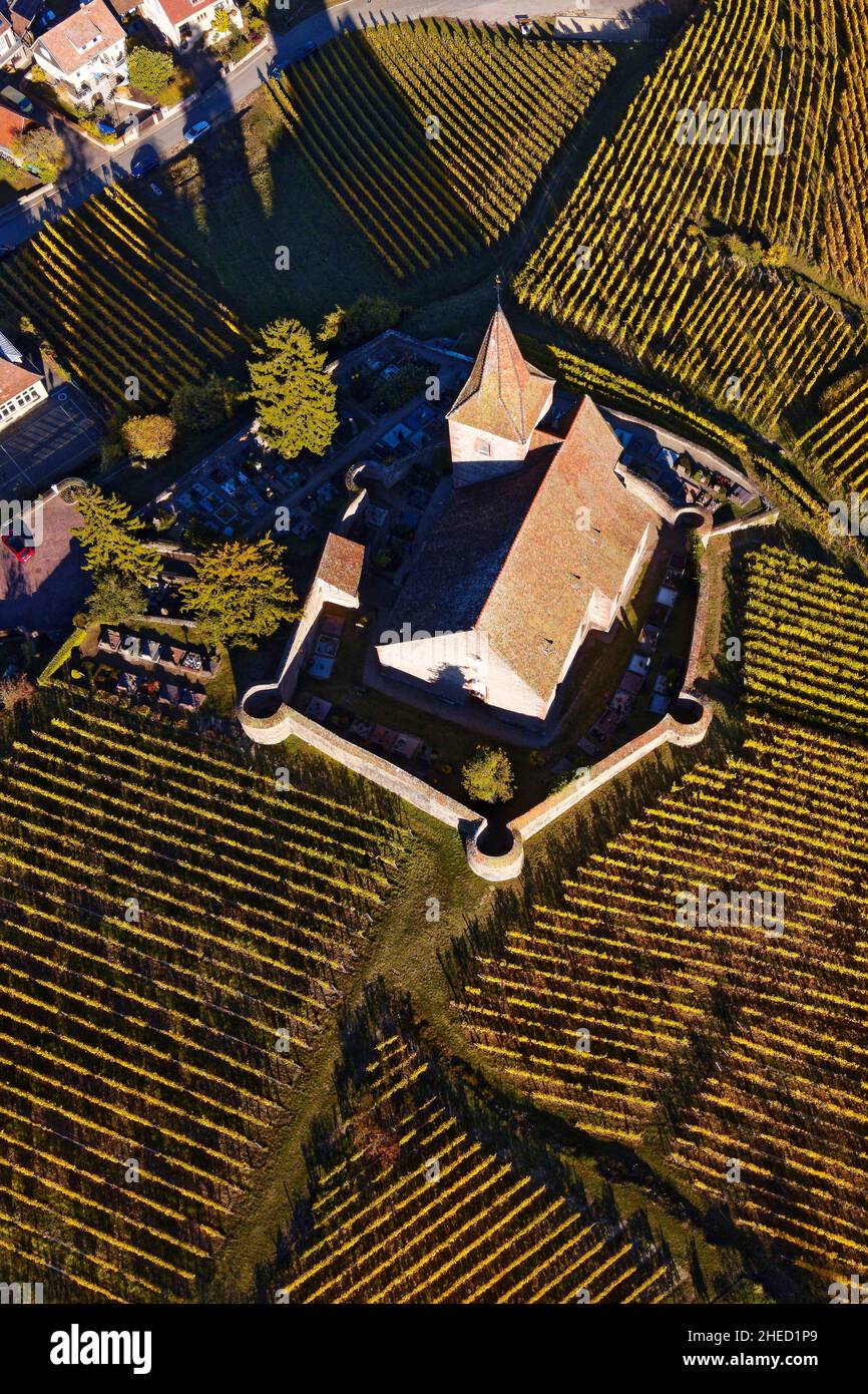Haut Rin France, Haut Rhin, the Alsace Wine Route, Hunawihr, labelled Les Plus ...