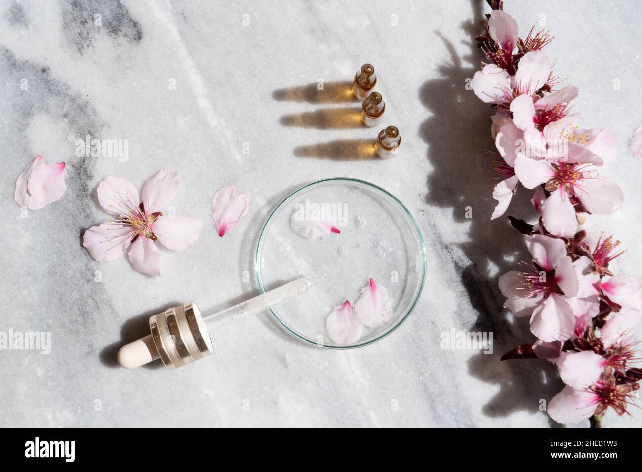 Retinol and almond oil serum oil beauty care Stock Photo Alamy