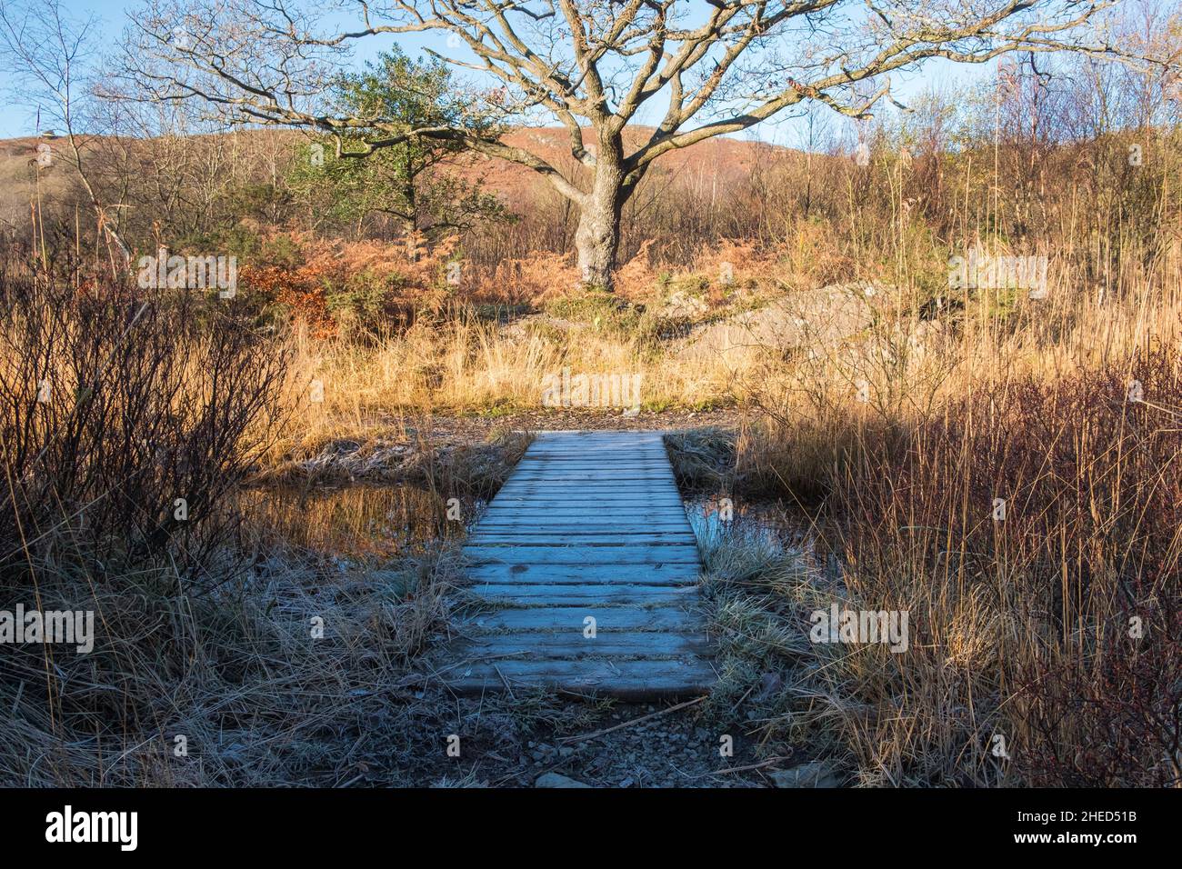 Coniston Water in the Lake District on a cold, sunny autumn morning Stock Photo