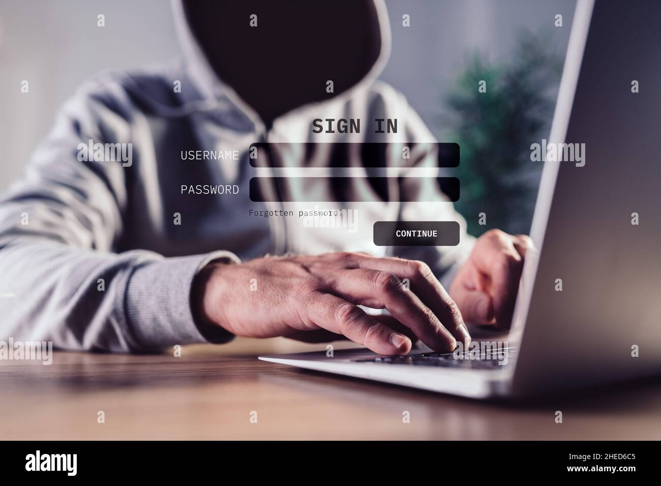 Phishing attack concept, computer hacker using fake website to steal login credentials, selective focus Stock Photo
