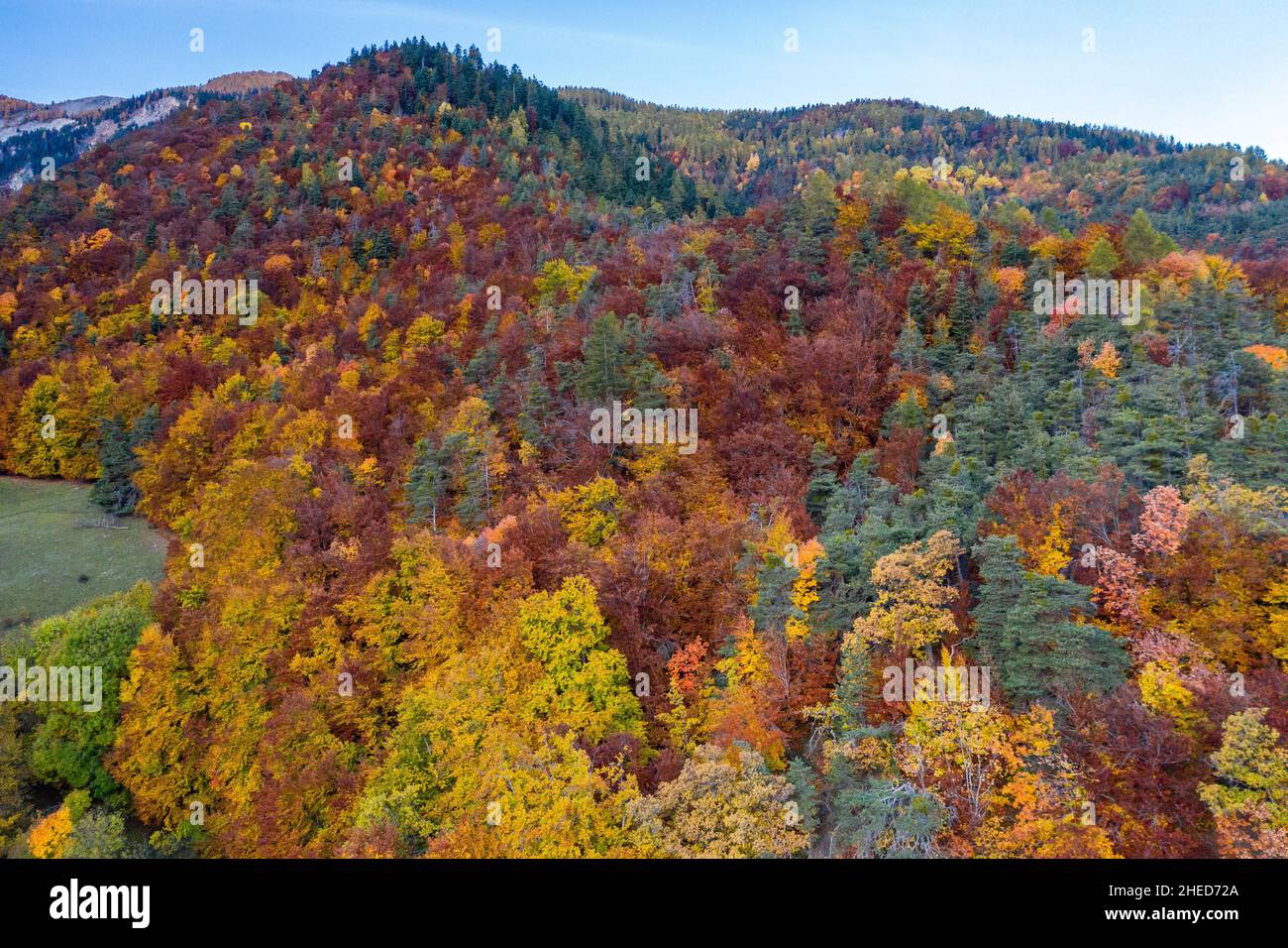 France, Hautes Alpes, Crots, Boscodon state Forest in autumn (aerial view) // France, Hautes-Alpes (05), Crots, forêt domaniale de Boscodon en automne Stock Photo