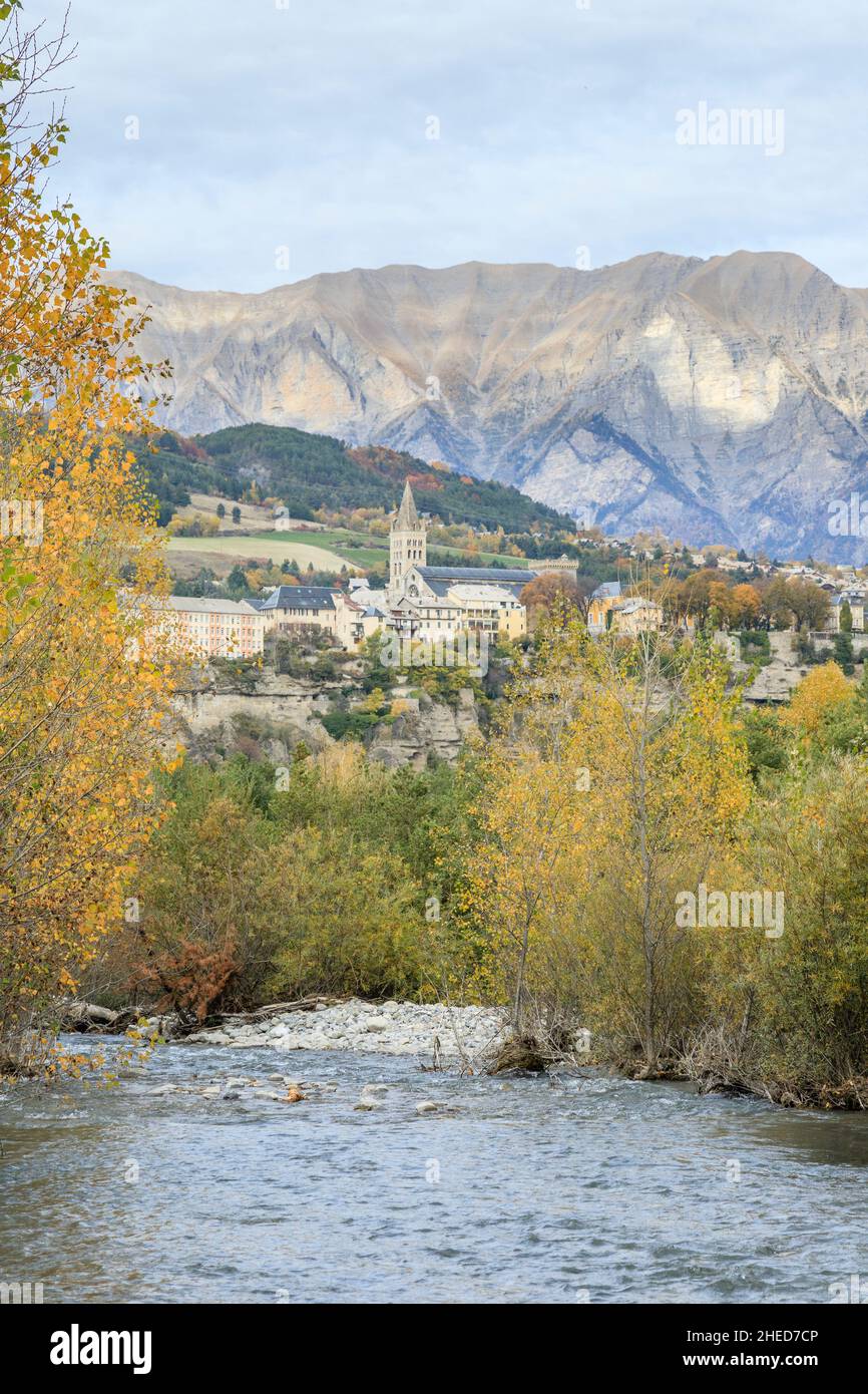 Forest village torrent