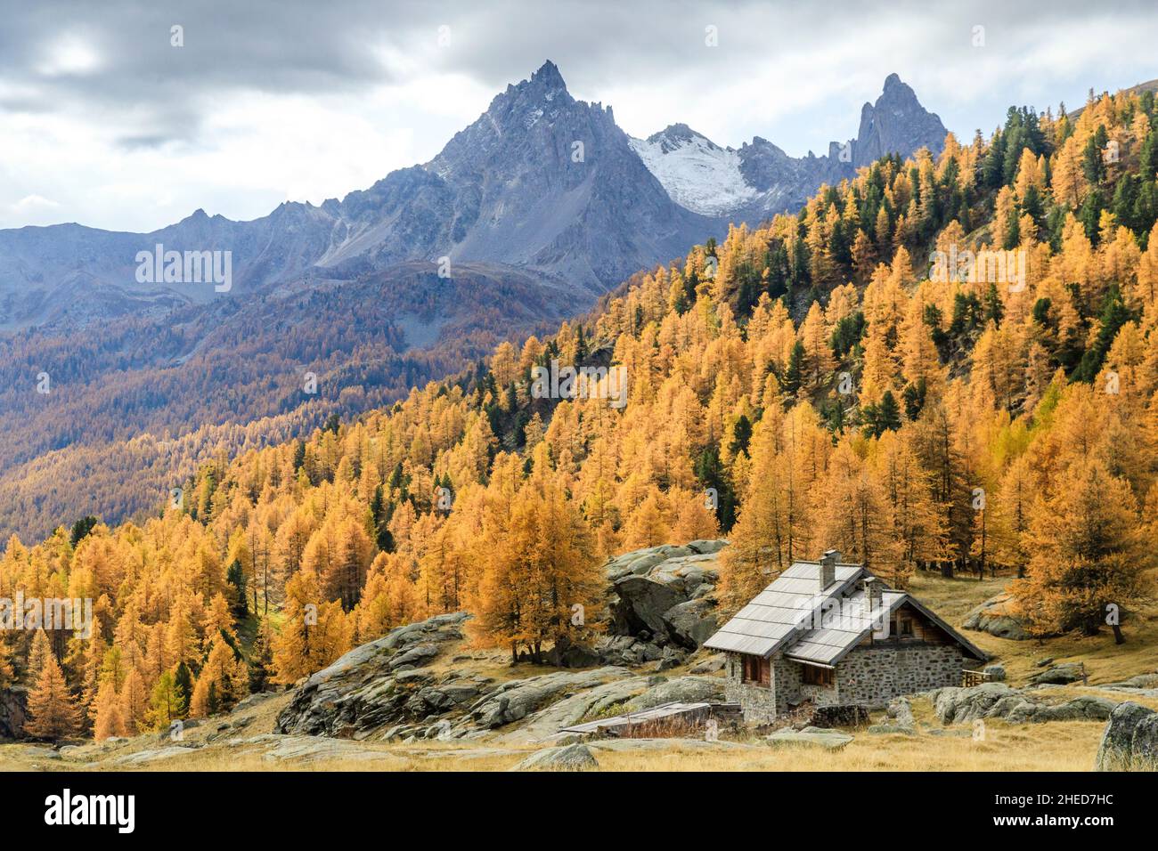 France, Hautes Alpes, Vallee de la Claree, Claree Valley, Nevache, hamlet of Chalets de Laval and larch trees forest in autumn (Larix decidua) // Fran Stock Photo