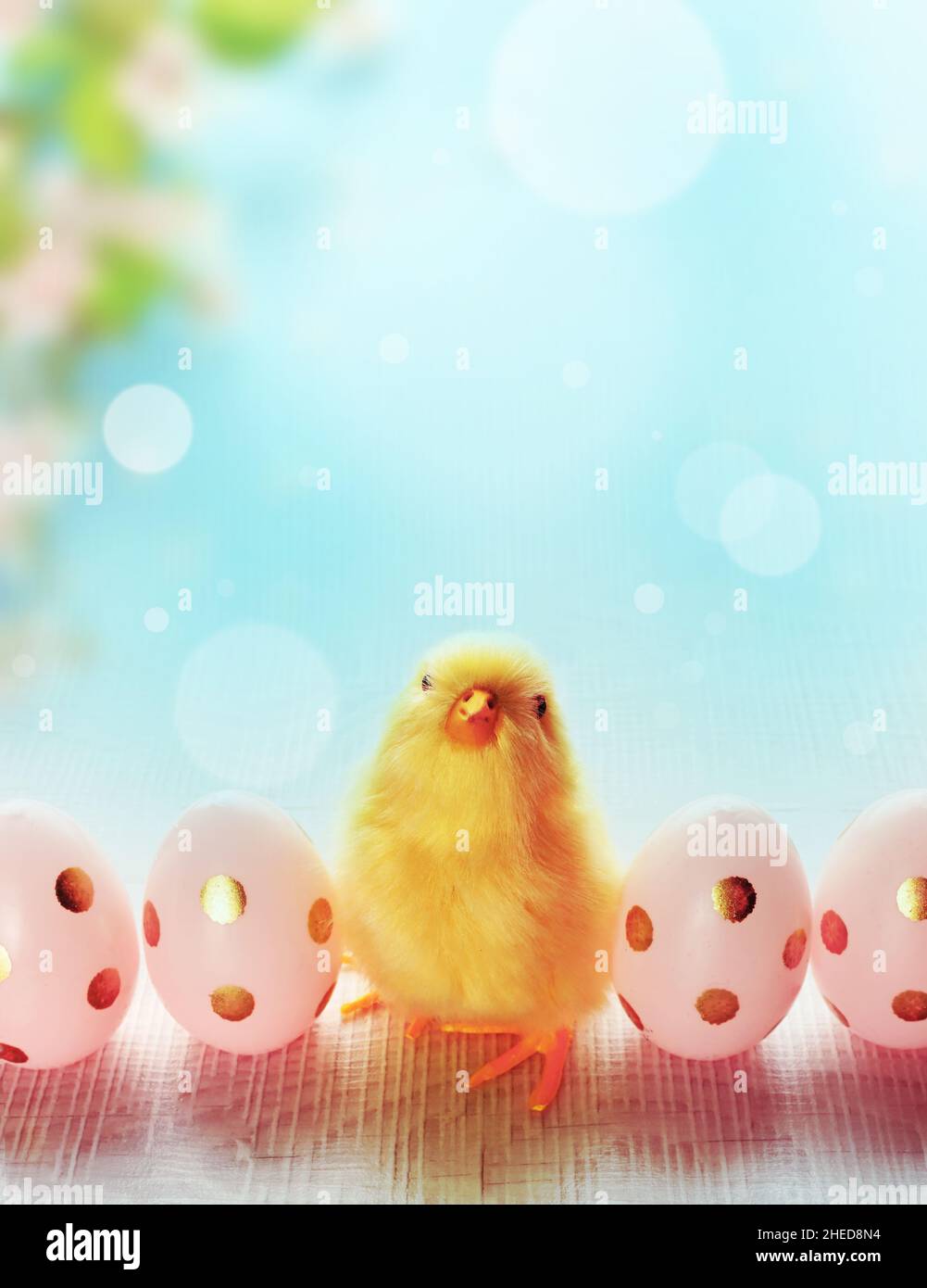 Easter composition with Colorful Easter eggs, chicks on blue blooming background. Easter concept. Stock Photo