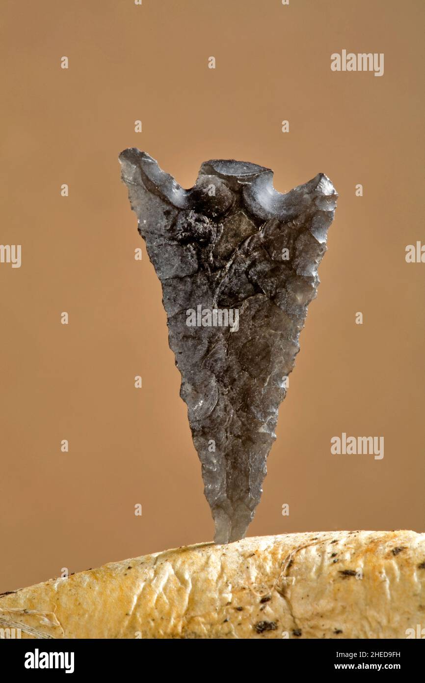 Anasazi arrowhead hi res stock photography and images Alamy