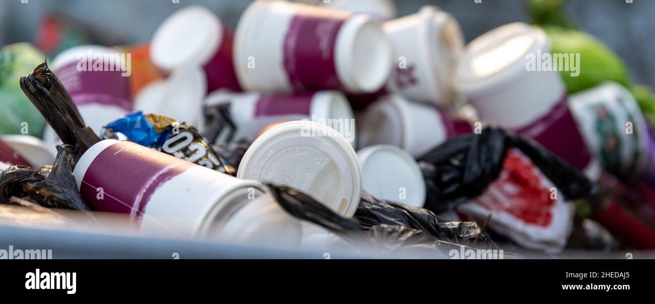 Manchester UK January 2022 used coffee cups piled in waste bin Stock Photo Alamy