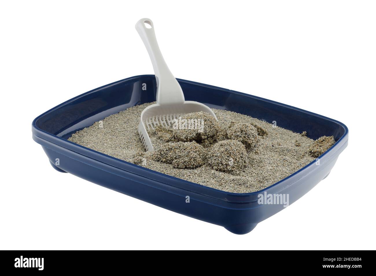 Blue cat litter tray with clumping litter and scoop Stock Photo