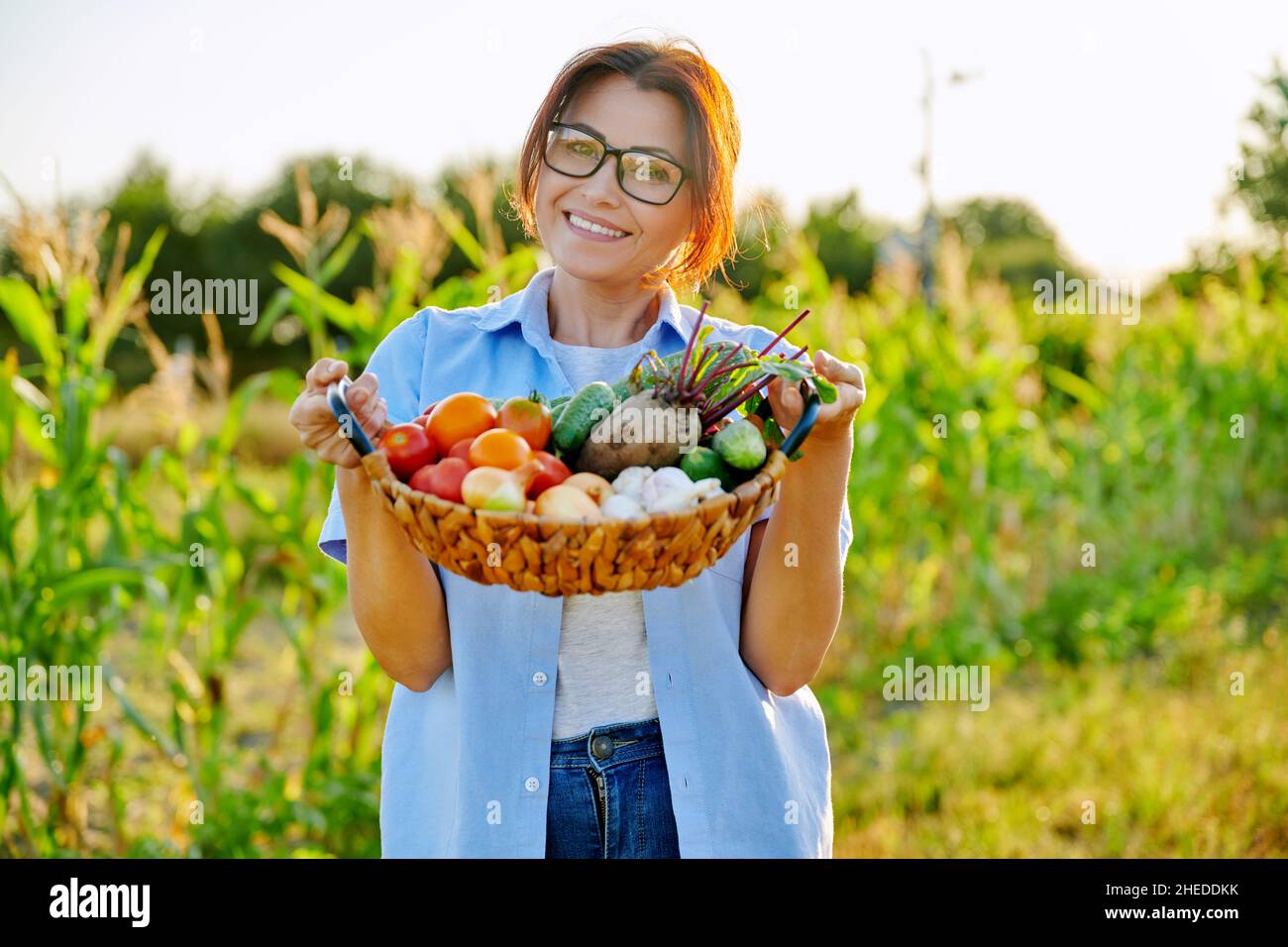 Middle-aged woman gardener farmer with basket of ripe vegetables Stock ...