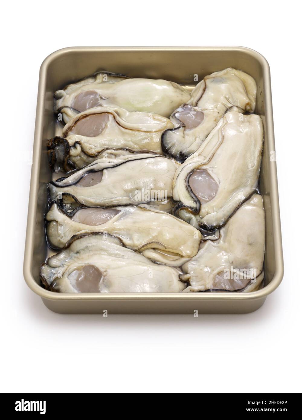 shucked oysters in tray isolated on white background Stock Photo