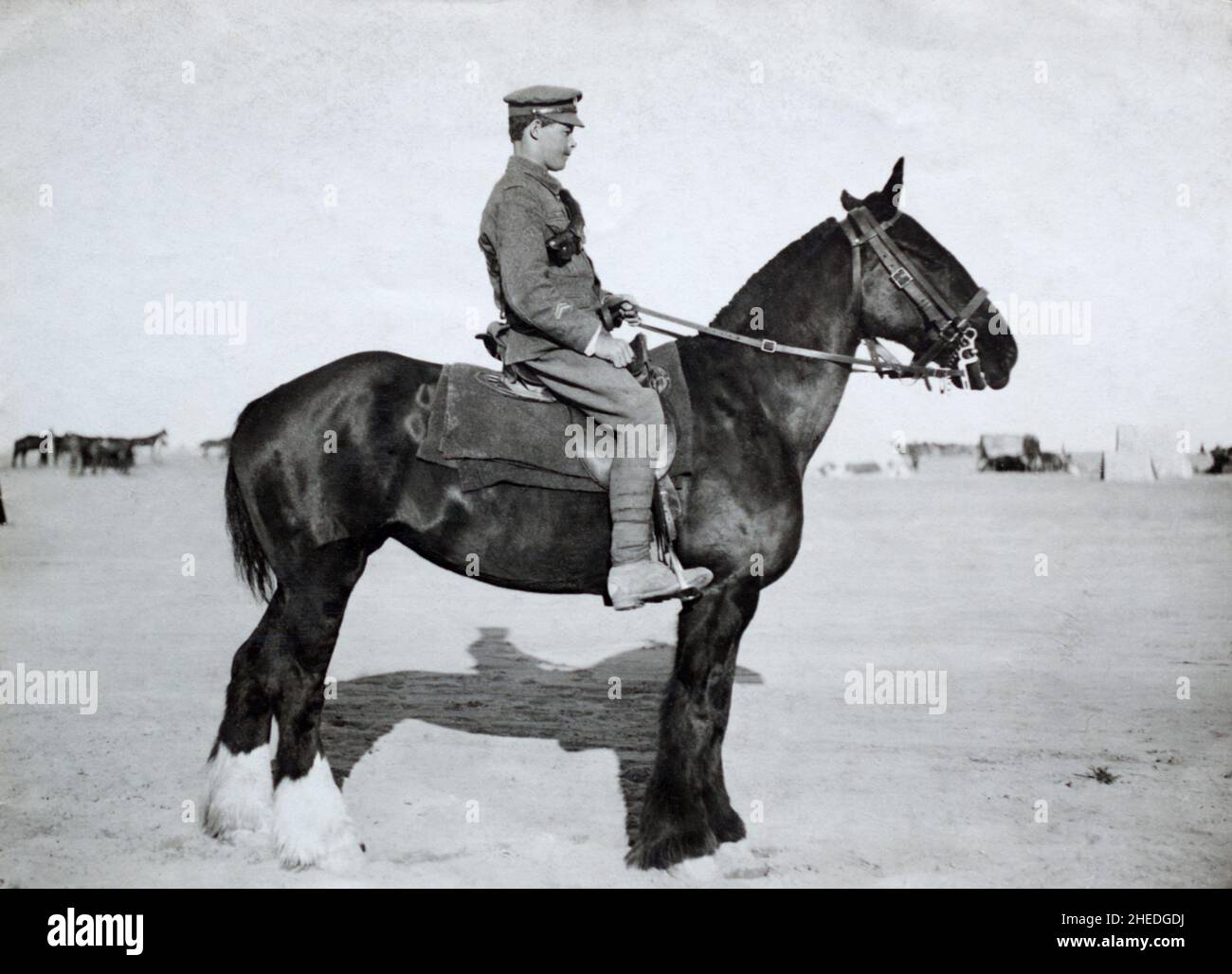 Soldier mounted hi-res stock photography and images - Alamy