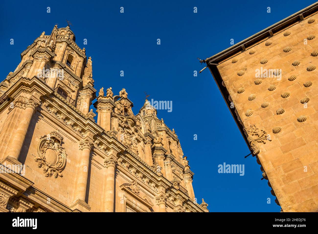 Pontifical University of Salamanca and The Casa de las Conchas Stock Photo