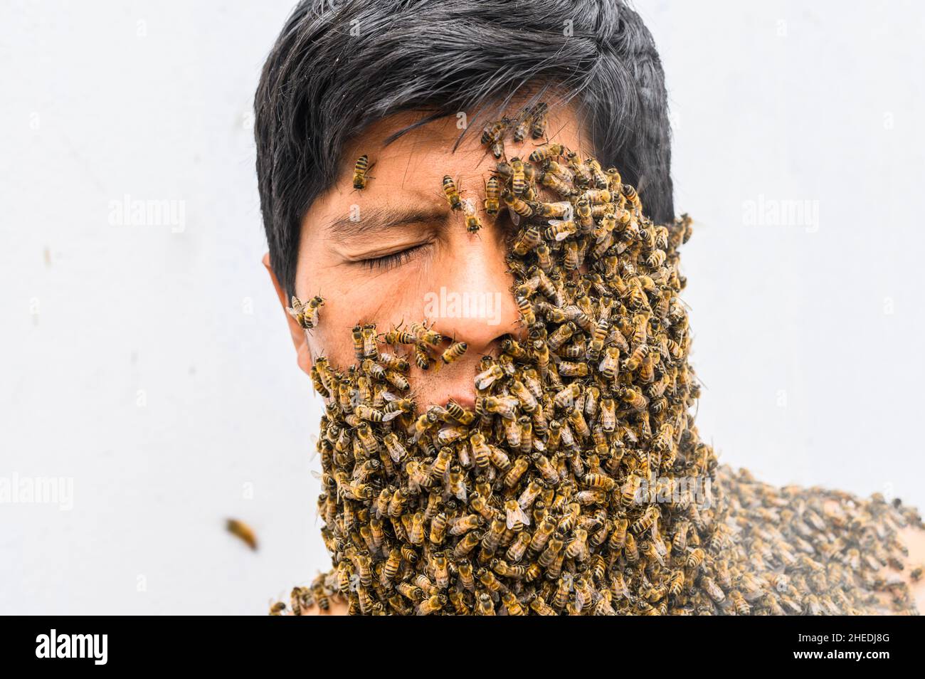 Man's face covered by bees Stock Photo