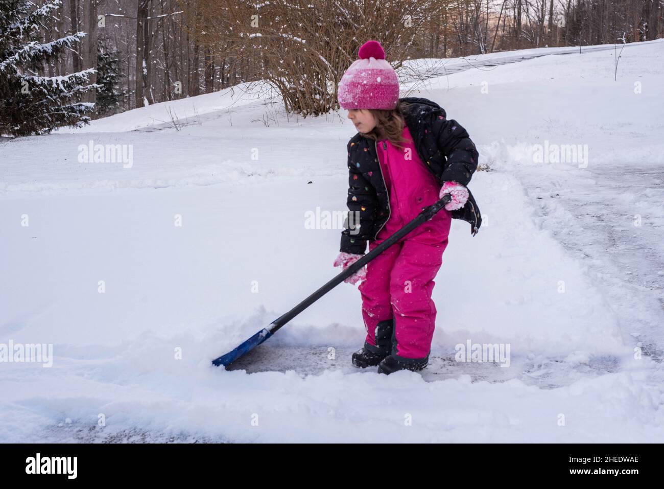 A young girl shovels snow in a driveway during winter in a pink snow suit and black winter jacket with colorful circles on it. Stock Photo
