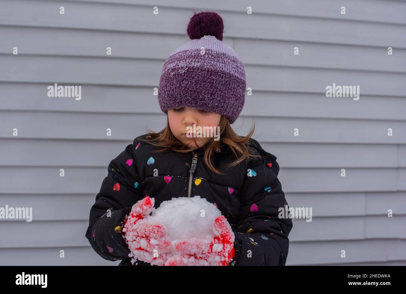 A young girl wearing winter clothes and holding snow in the winter. Stock Photo