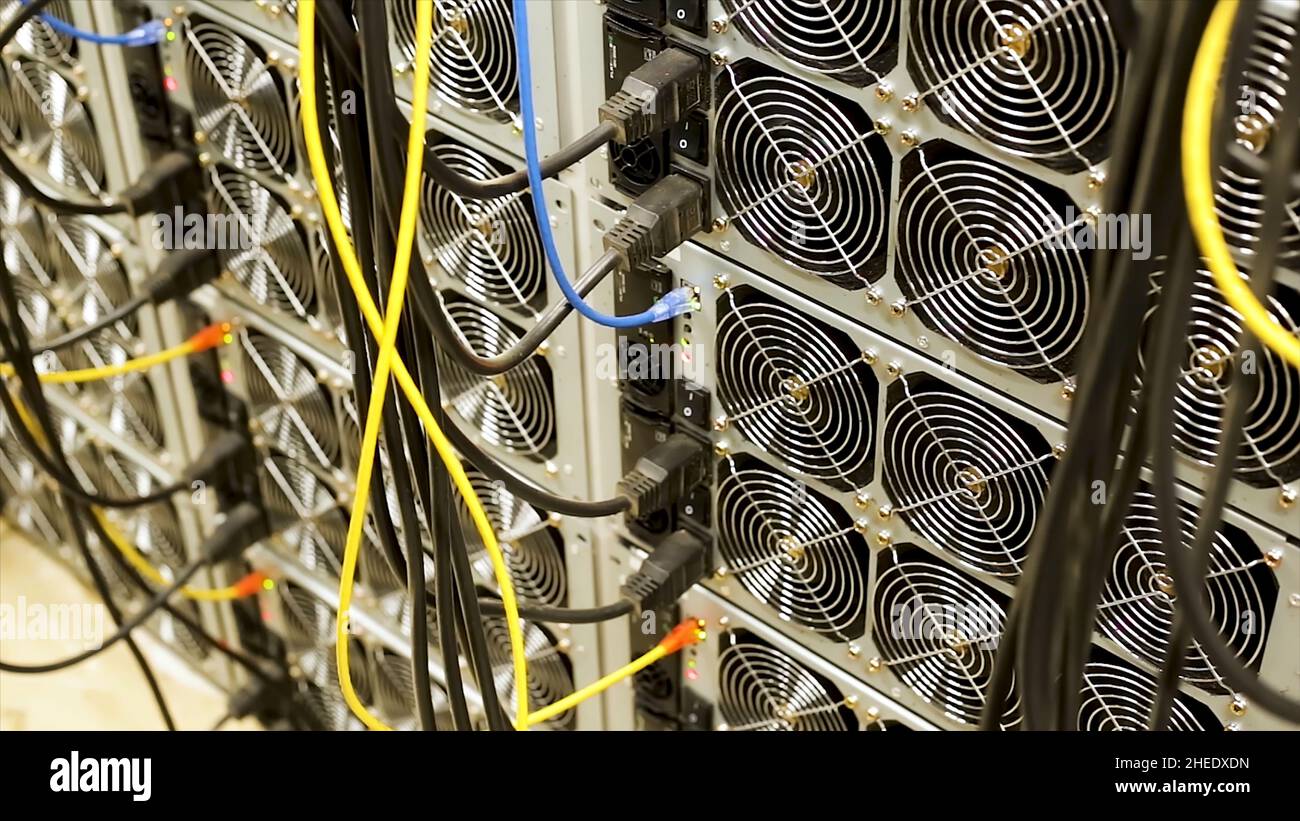 Bitcoin cryptocurrency mining farm. Close up of machines for mining  bitcoins, professional equipment and modern technologies concept Stock  Photo - Alamy
