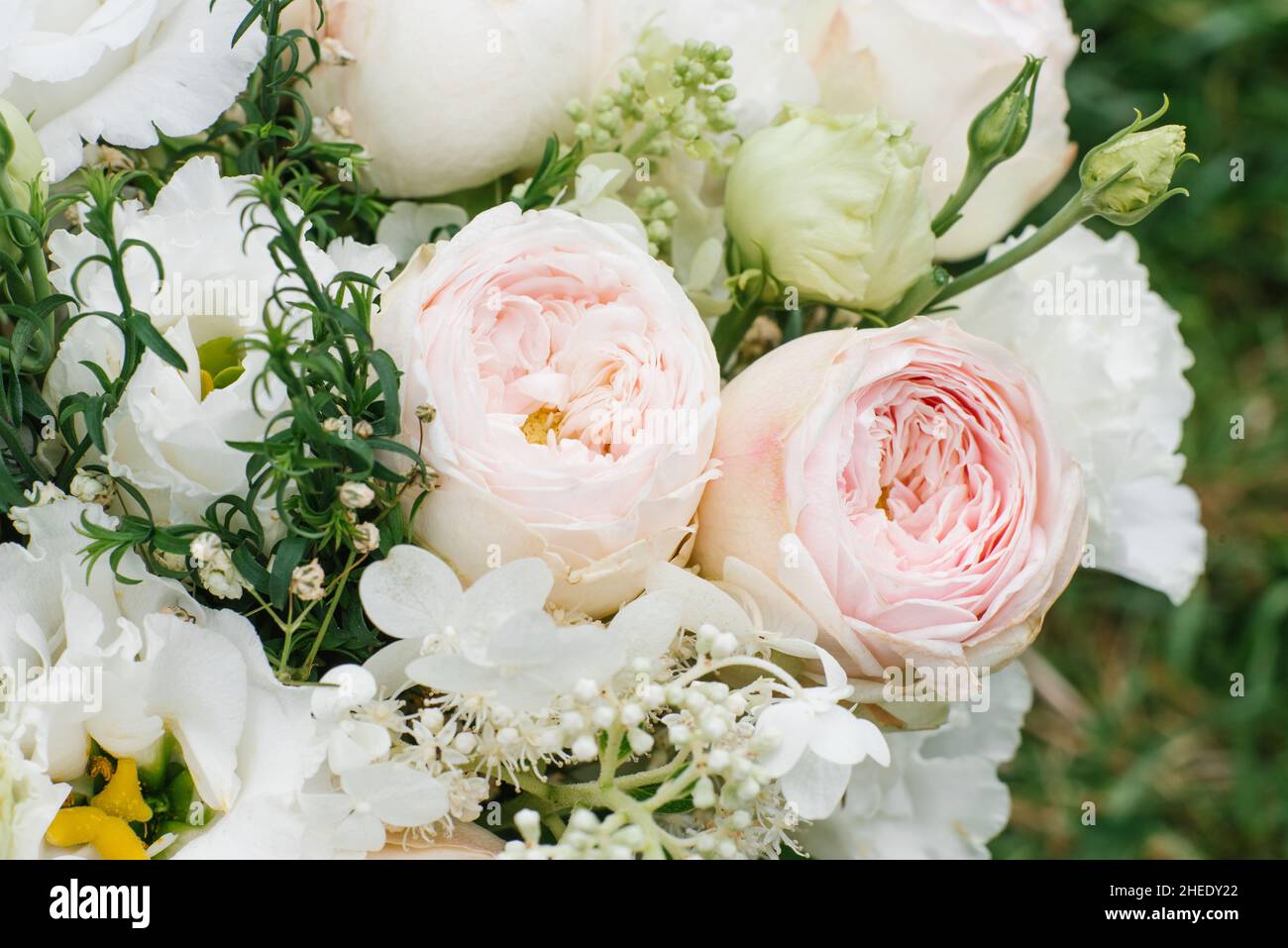 Low key roses hi-res stock photography and images - Alamy