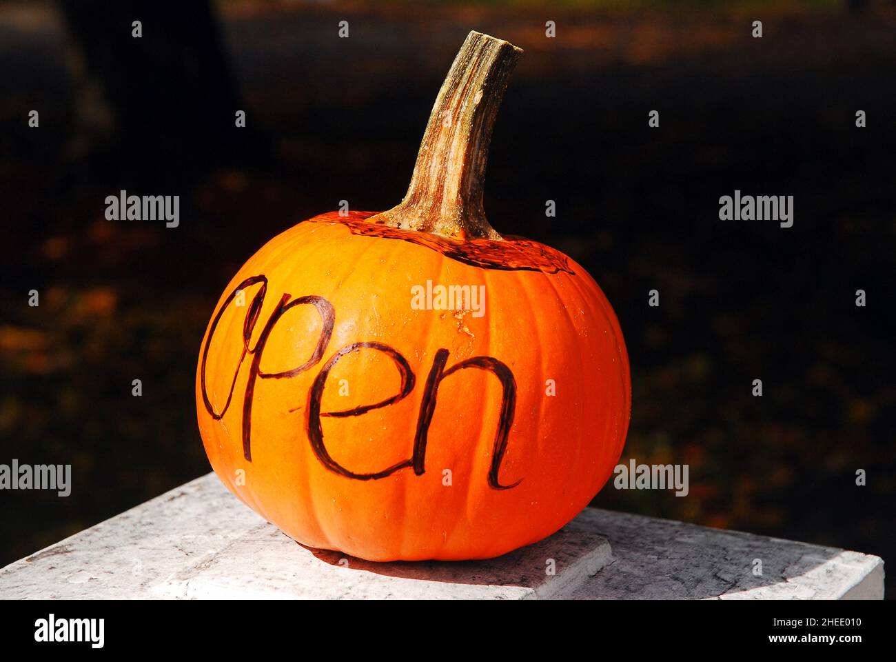 Pumpkins open for business Stock Photo